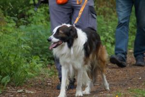 Training 24.05.2020 – Bechlingen 148